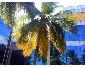 Sattva Global City - Ivega Building